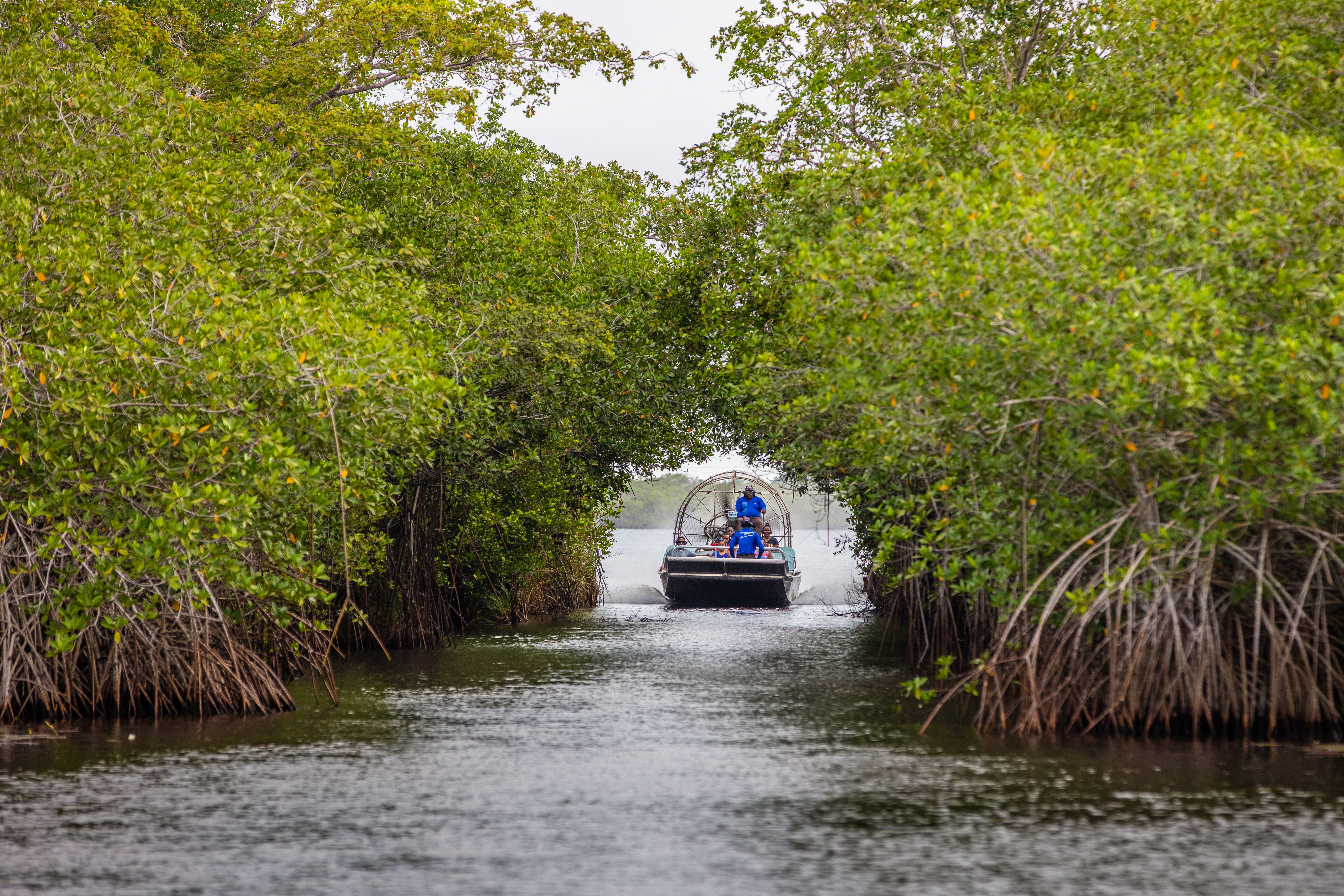 Chukka Eco-Adventure Park | Chukka Caribbean Adventures